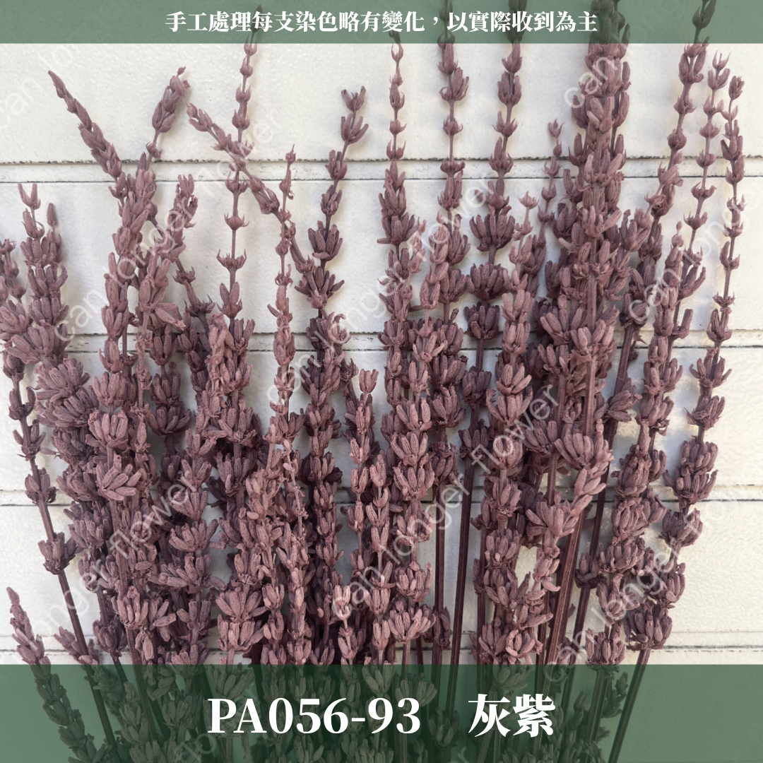 PA056 原裝薰衣草｜長梗永生薰衣草 染色薰衣草 有香味 香草植物 乾燥花 永生花 乾燥花花束 拍照道具背景 店內裝飾
