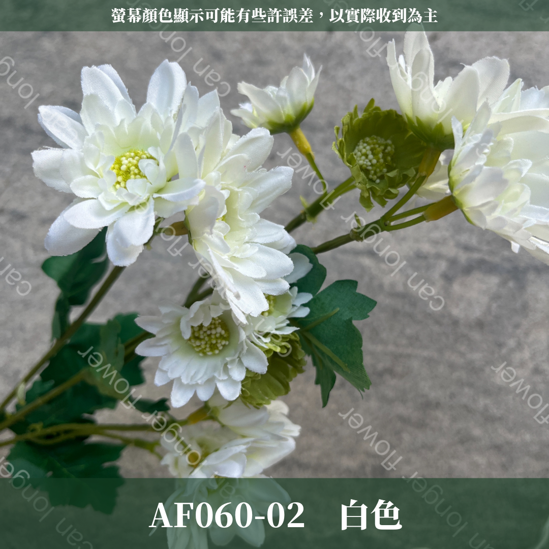 AF060 仿真多頭雛菊（約18頭）