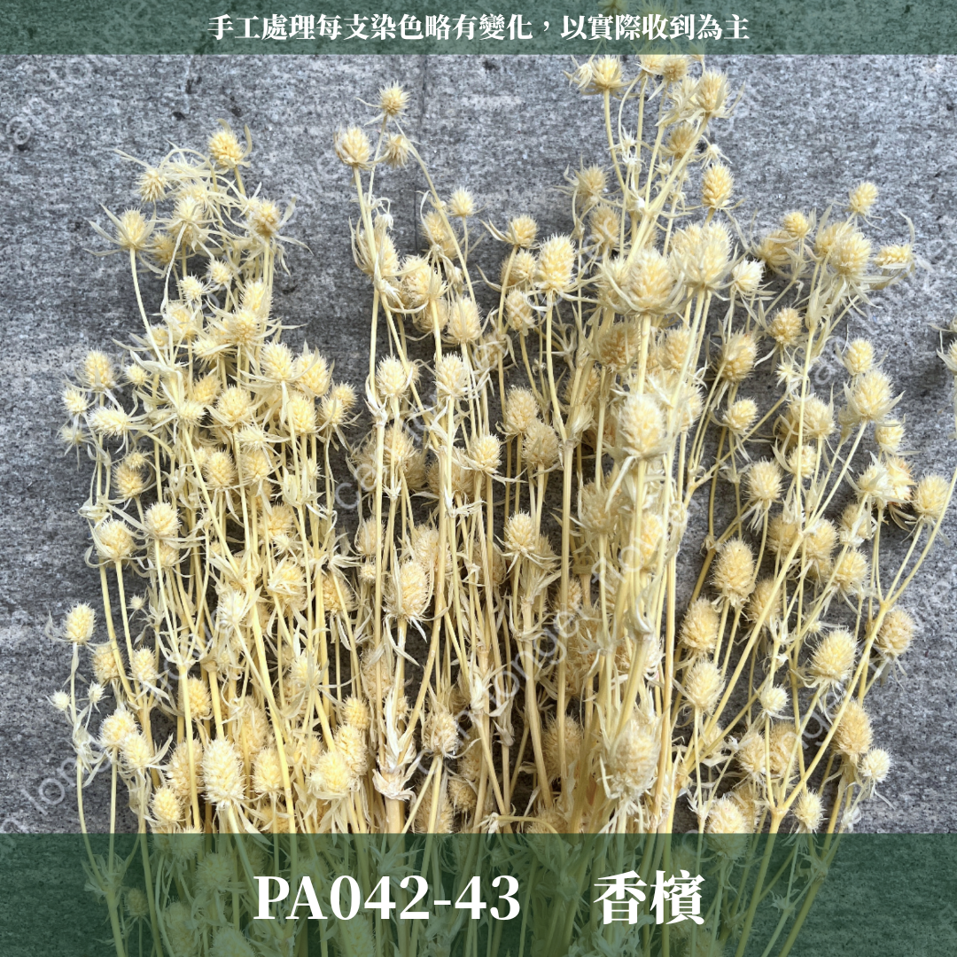 ✿ 台灣現貨 ✿ PA042 小薊果 紫薊花 刺芹花 小薊花