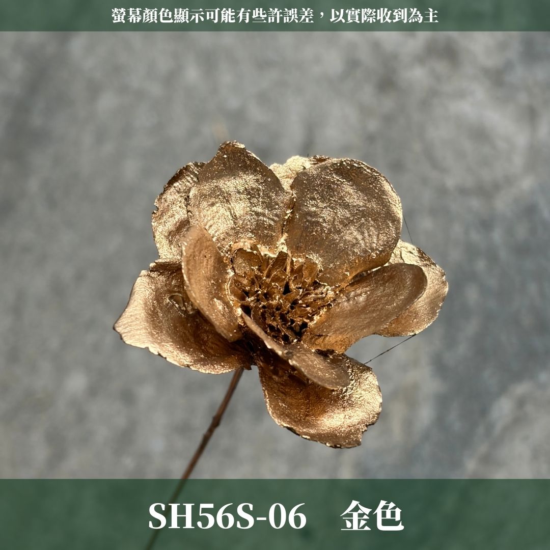 SH56S 手工銀連花 單支｜9種顏色！A級乾燥花材料包 手工花主花 永生花 不凋花瓜子花花材 花束花材 花藝師必買