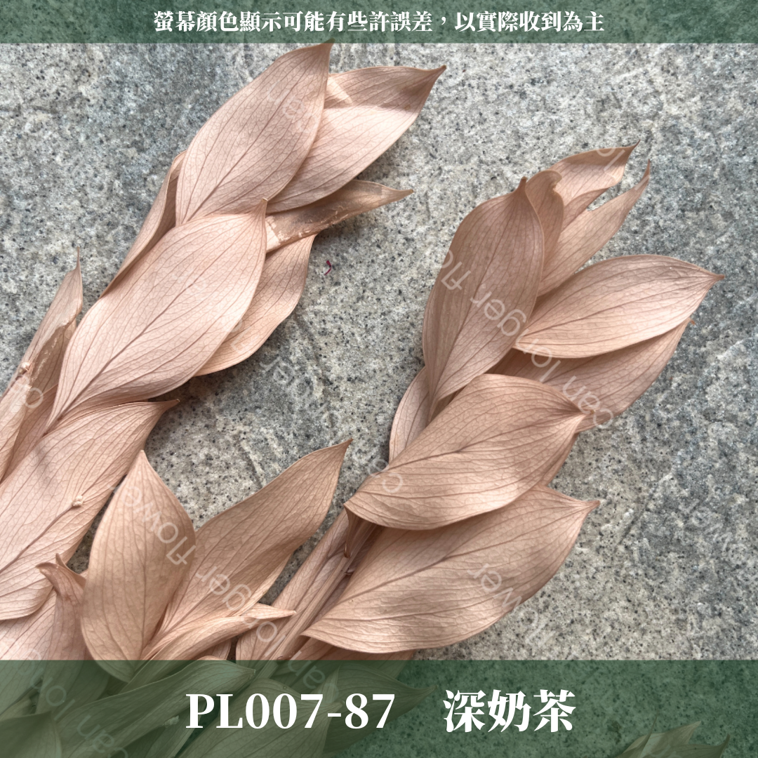 PL007 原裝玉竹葉｜夢幻紫色新登場｜進口不凋玉竹葉 永生桔葉 永生葉材 魚尾葉 桌花 乾燥葉材 花藝材料包 捧花
