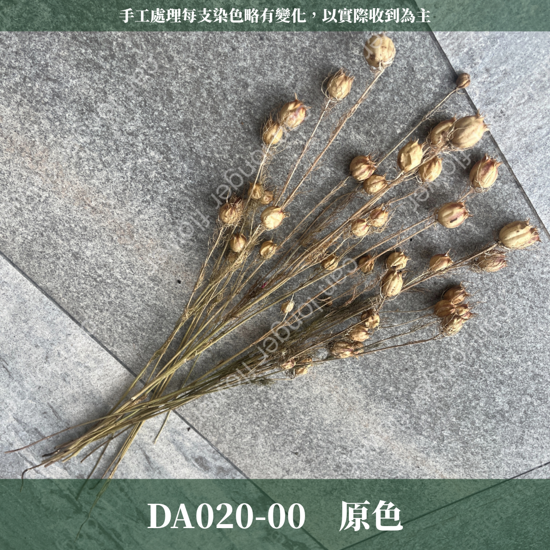 DA020 黑種草 約18克 乾燥 原裝 台灣現貨