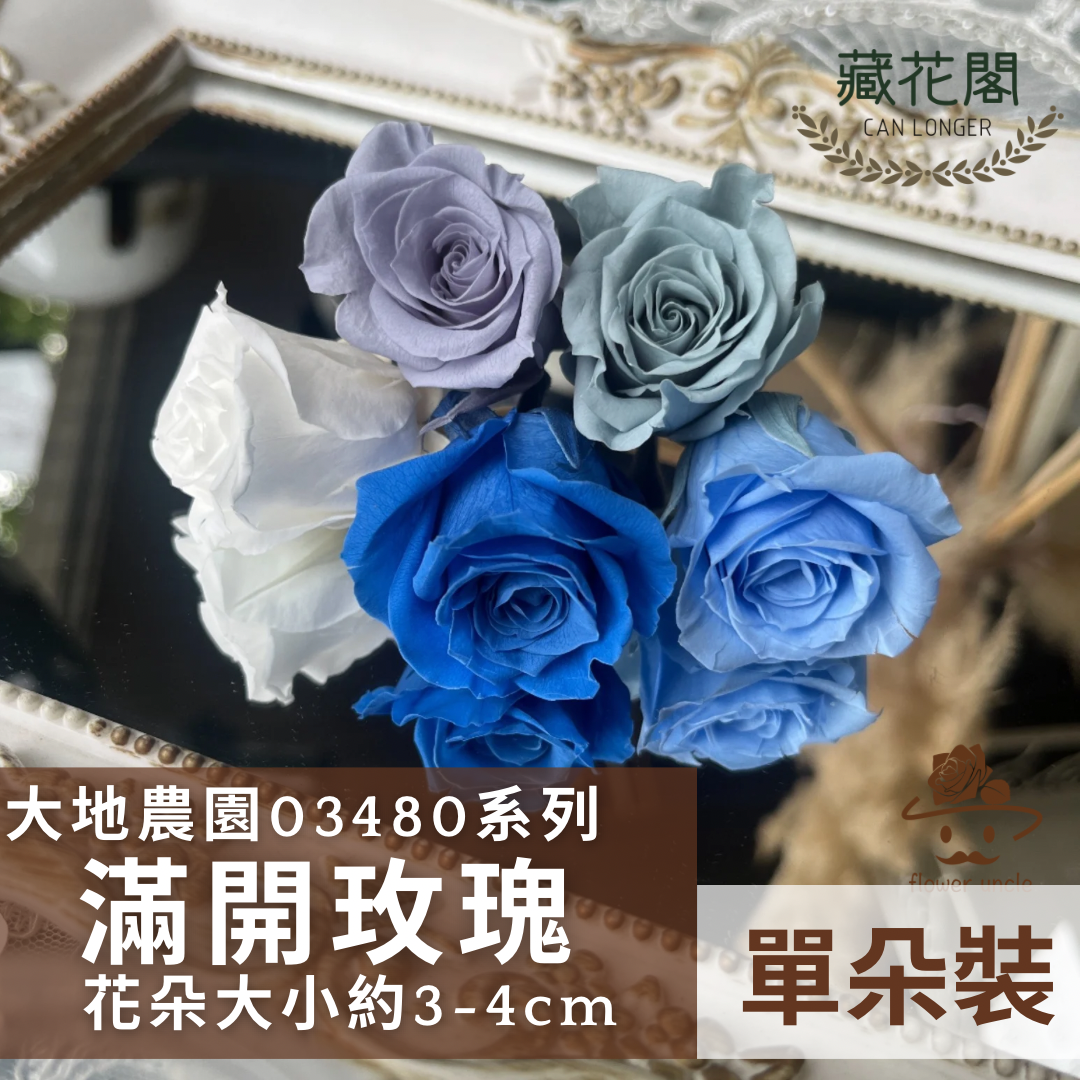 03480 中玫瑰