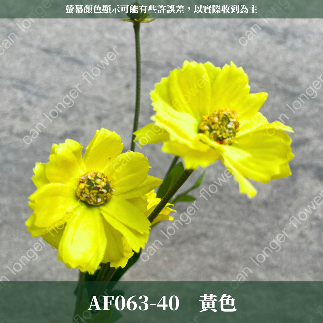 AF063 仿真英式小雛菊（4頭）