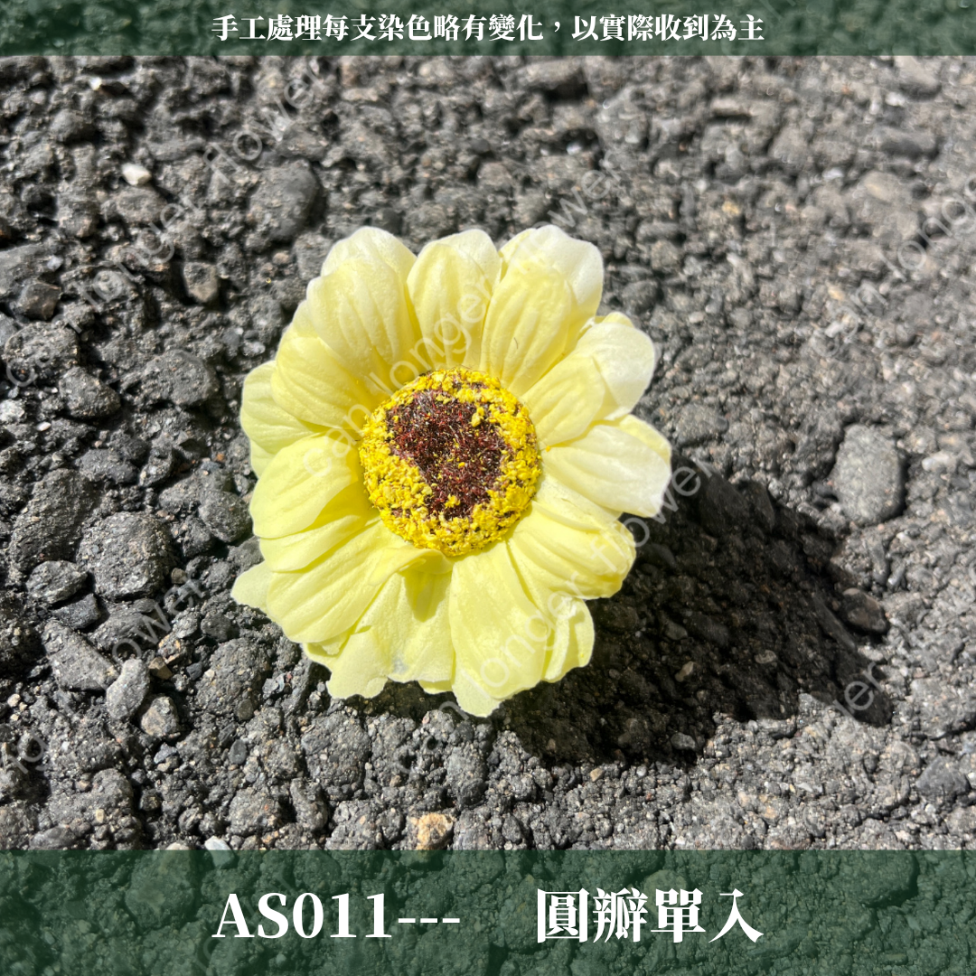 ✿ 台灣現貨 ✿  AS011 香皂太陽花 單朵裝 50朵裝 香皂花 向日葵 太陽花