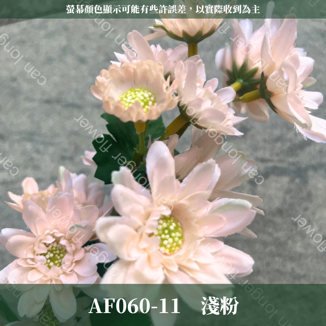 AF060 仿真多頭雛菊（約18頭）