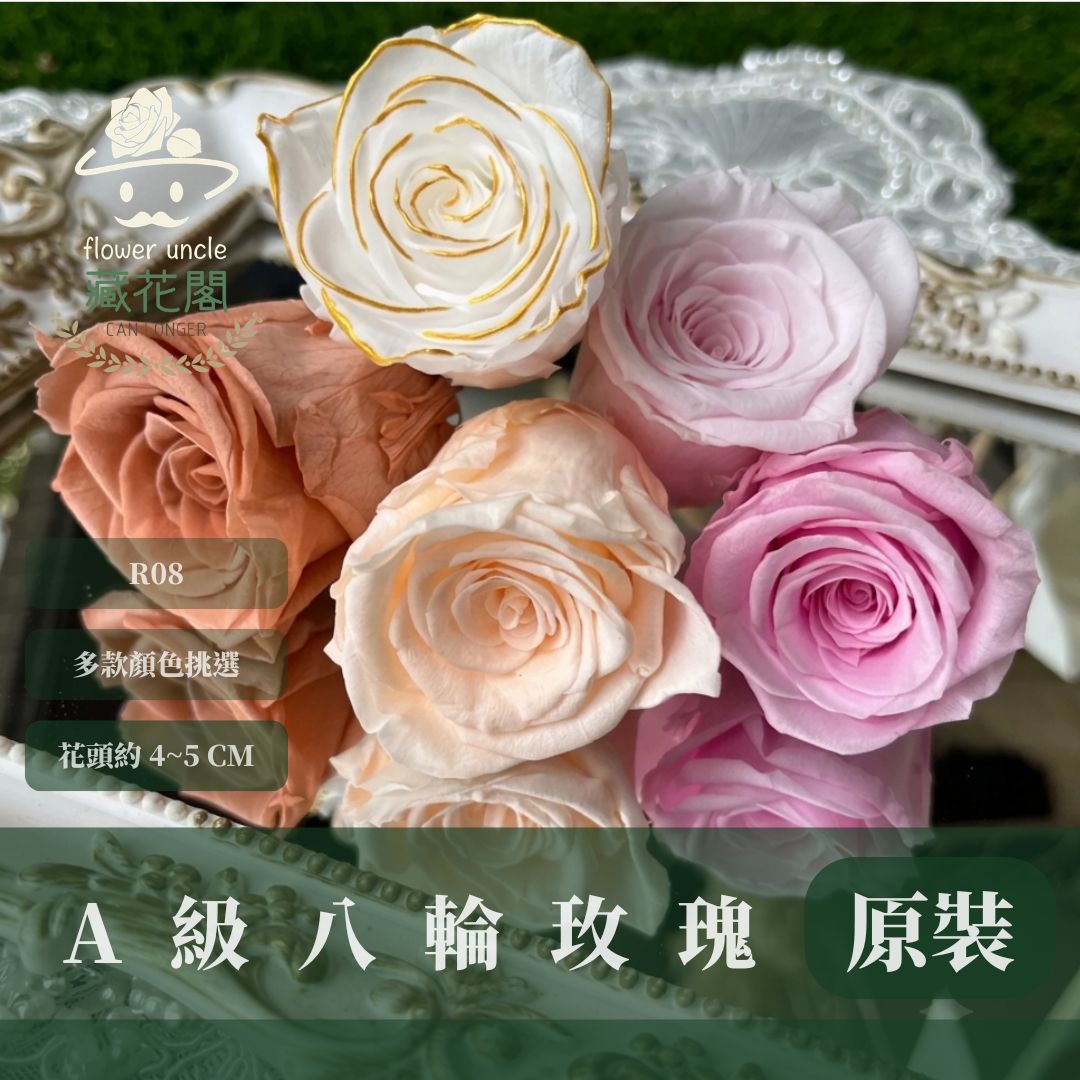 R08 A級八輪玫瑰｜約 4-5 cm｜花藝師必買 不凋大玫瑰花頭 永生玫瑰 香頌玫瑰 甦醒玫瑰 花束材料 捧花材料