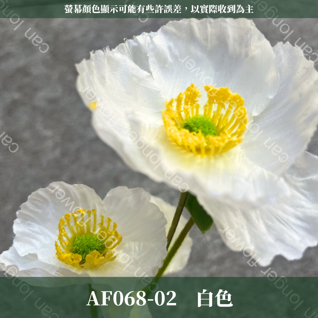 AF068 仿真虞美人(3頭)