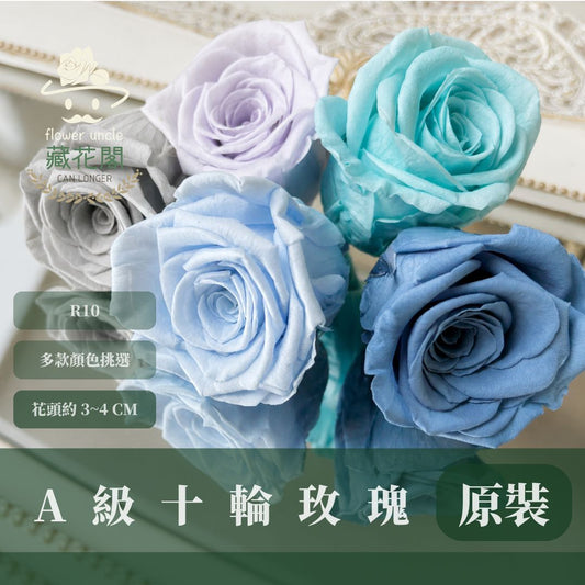 R10 A級十輪玫瑰｜約 3-4 cm｜花藝師必買 不凋大玫瑰花頭 永生玫瑰 香頌玫瑰 甦醒玫瑰 花束材料 捧花材料