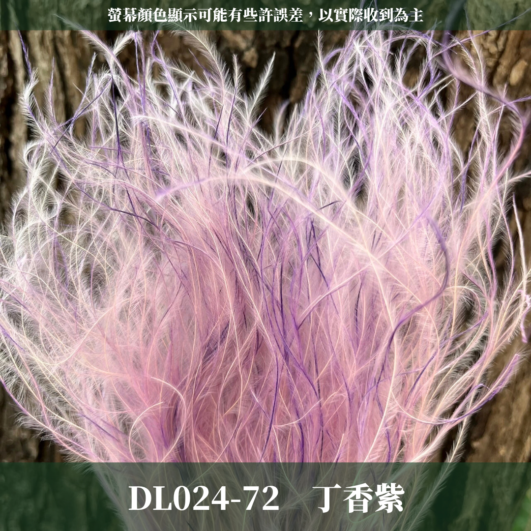 DL024 羽毛草 夢幻草 乾燥花 原裝 台灣現貨