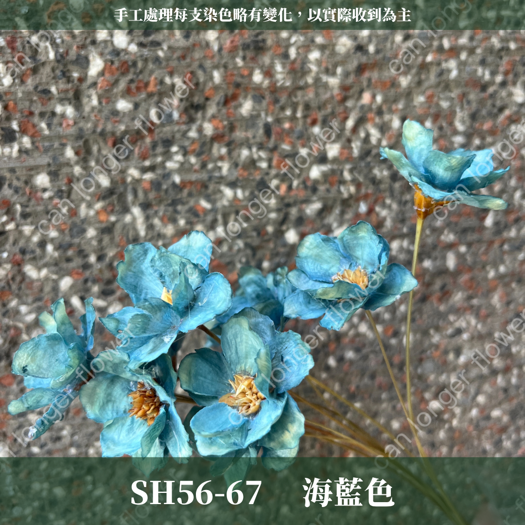 SH56 原裝手工銀連花｜9種顏色！A級乾燥花材料包 手工花主花 永生花 不凋花瓜子花花材 花束花材 花藝師必買