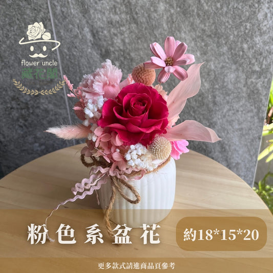 Gift-f058 粉色系牛奶瓶盆花 粉色 盆花 開幕 送禮 慶賀