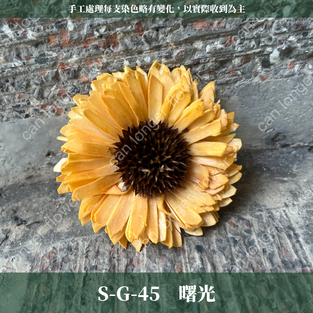S-G 索拉花｜6CM 通草花 擴香花