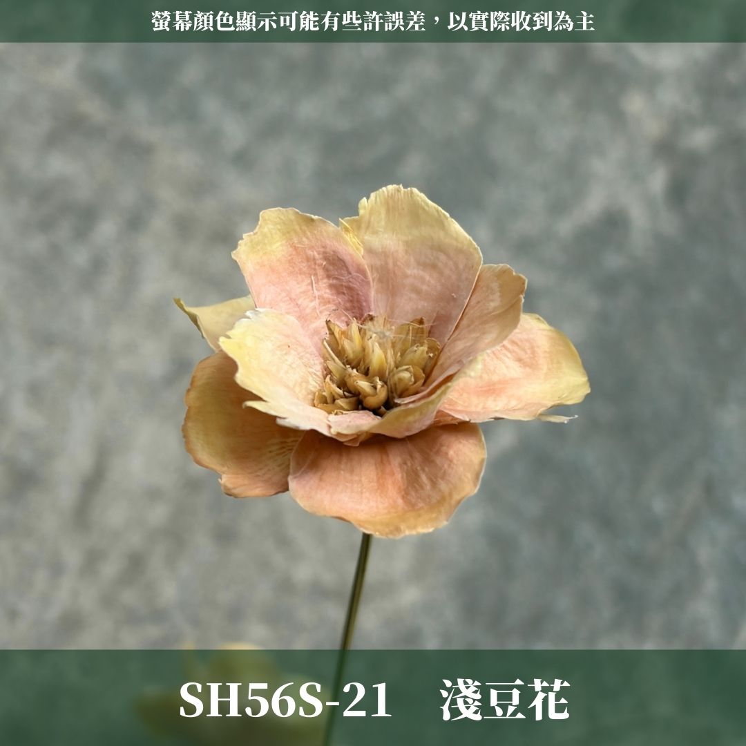 SH56S 手工銀連花 單支｜9種顏色！A級乾燥花材料包 手工花主花 永生花 不凋花瓜子花花材 花束花材 花藝師必買