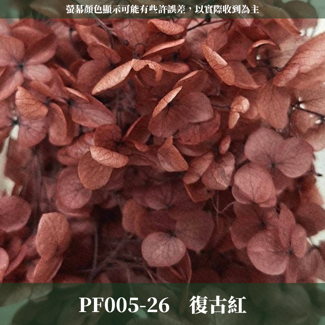 PF005-S 安娜繡球經濟盒裝｜ A級 漸層繡球 紫陽花 永生花 不凋花 乾燥花 DIY花材 拍攝道具 蜉蝣花花材