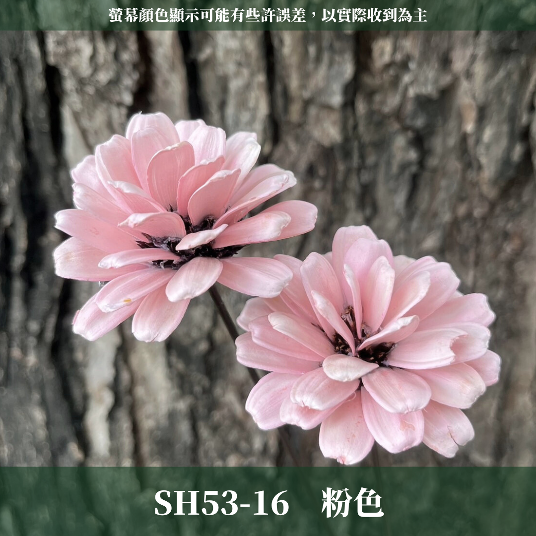 SH53 原裝瓜子球 （2支裝） 台灣現貨