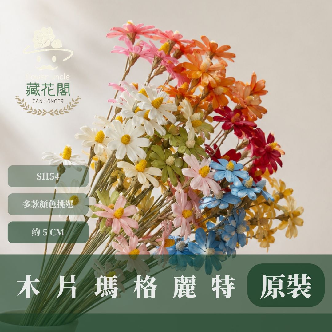 SH54 原裝木片瑪格麗特｜乾燥花批發 瓜子花 小雛菊 不凋花 木春菊 花藝設計 拍照道具 手工花 DIY 花藝 插花