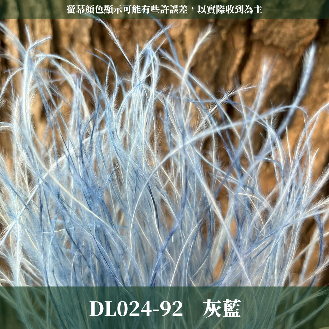 DL024 羽毛草 夢幻草 乾燥花 原裝 台灣現貨