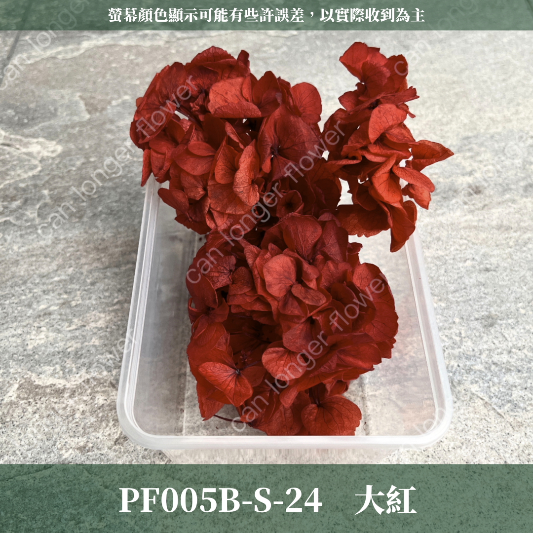 PF005B-S 大葉繡球(10克) 盒裝 紫陽花 夢幻漸變繡球 台灣現貨
