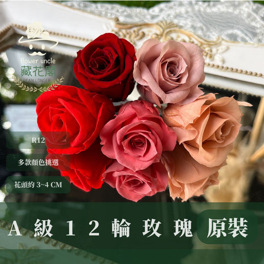 R12 A級十二輪玫瑰｜買12朵省120元｜約 3-4 cm｜花藝師必買 不凋大玫瑰花頭 永生玫瑰 花束材料 捧花材料