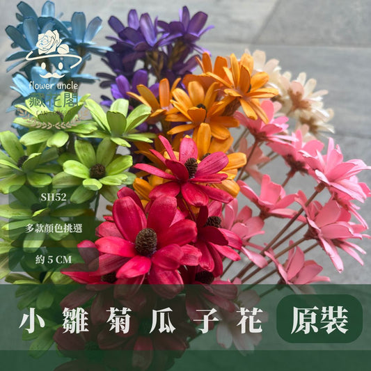 SH52 原裝小雛菊瓜子花｜5cm｜木片花 手工花 乾燥花 乾花新瓜子花 不凋花 永生花 花束花材 捧花材料 胸花手作