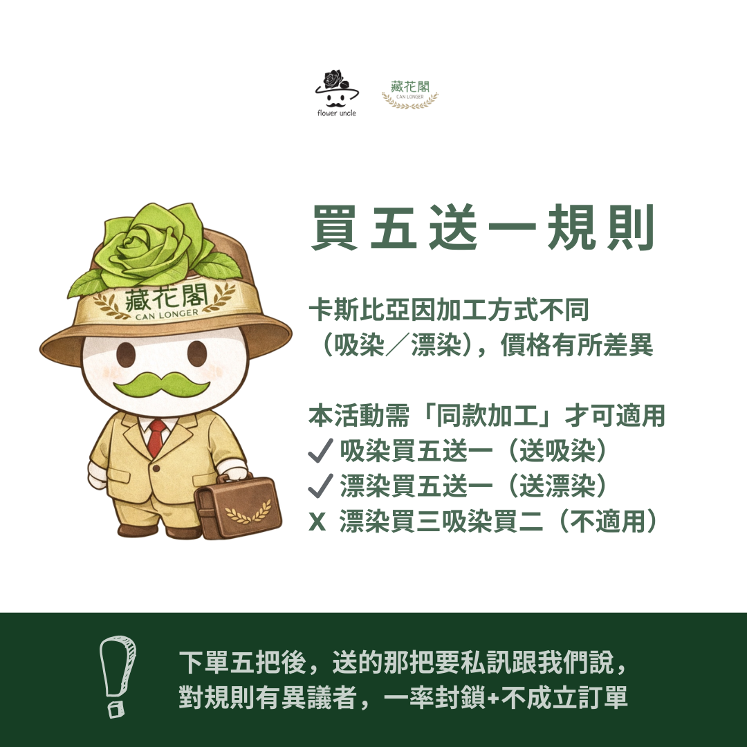 PF004 原裝卡斯比亞｜買五送一！花藝師必買 情人花 永生卡斯比雅 永生花手作DIY 不凋花材 韓式乾燥花材配花 婚禮