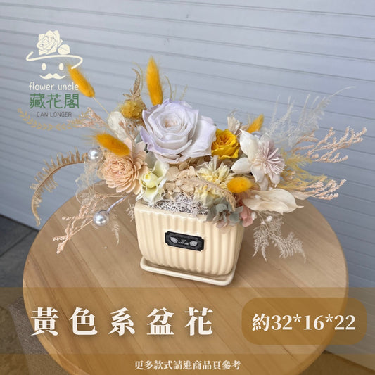 Gift-F067 黃色系陶瓷方形盆花 黃色 方形 盆花 開幕 送禮 慶賀