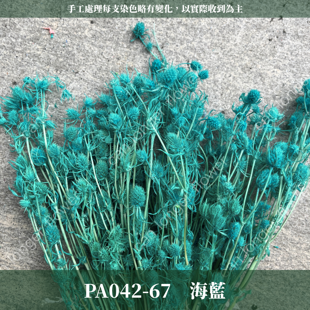 ✿ 台灣現貨 ✿ PA042 小薊果 紫薊花 刺芹花 小薊花