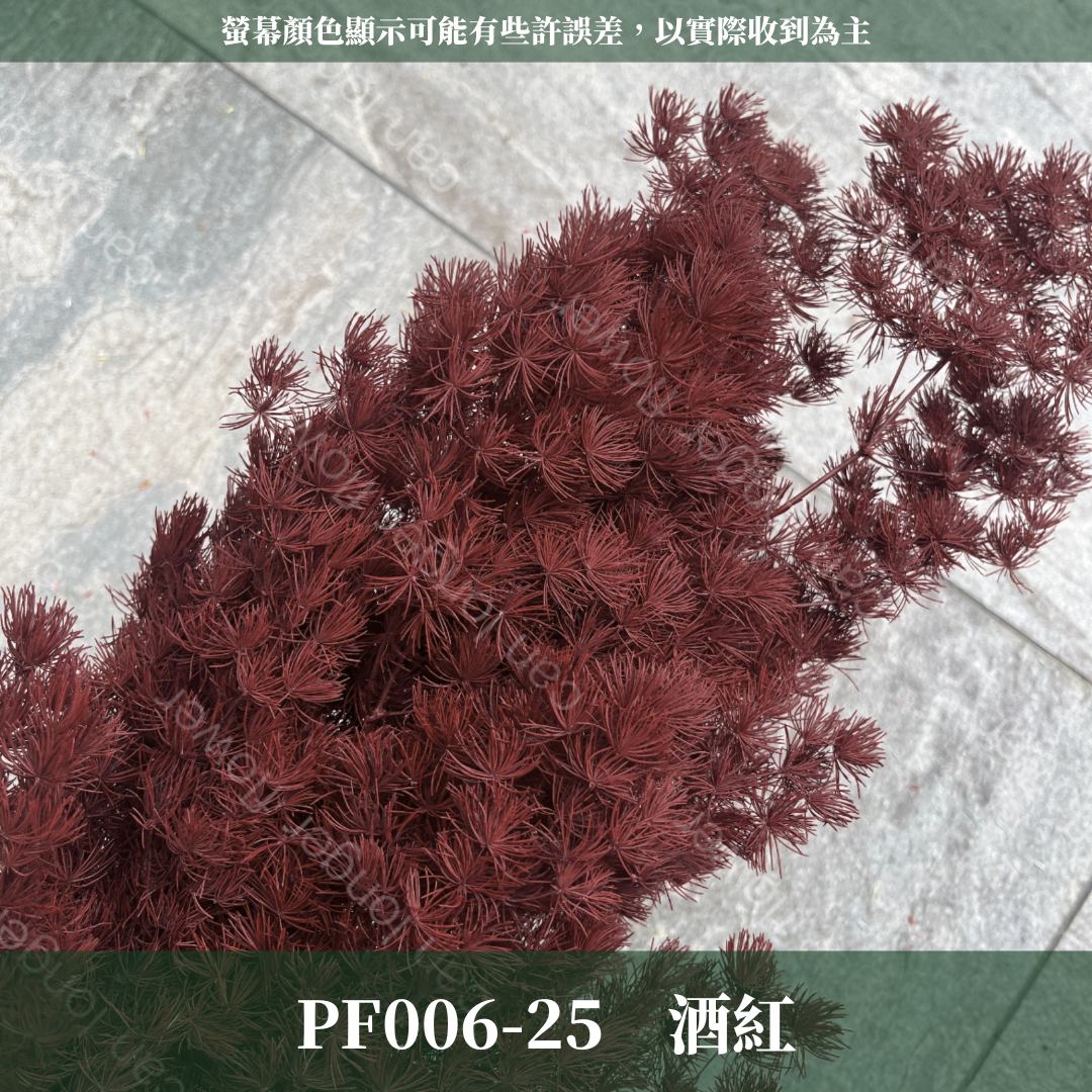 PF006 原裝蓬萊松｜ 永生蓬莱松 不凋蓬萊松 進口蓬萊松 萬壽松 A級永生蓬萊松 松樹 手作花材 花藝設計 台灣現貨 不凋花 永生花 聖誕鬆 聖誕花圈材料 聖誕樹材料 浮游花材料包 壽松 材料包