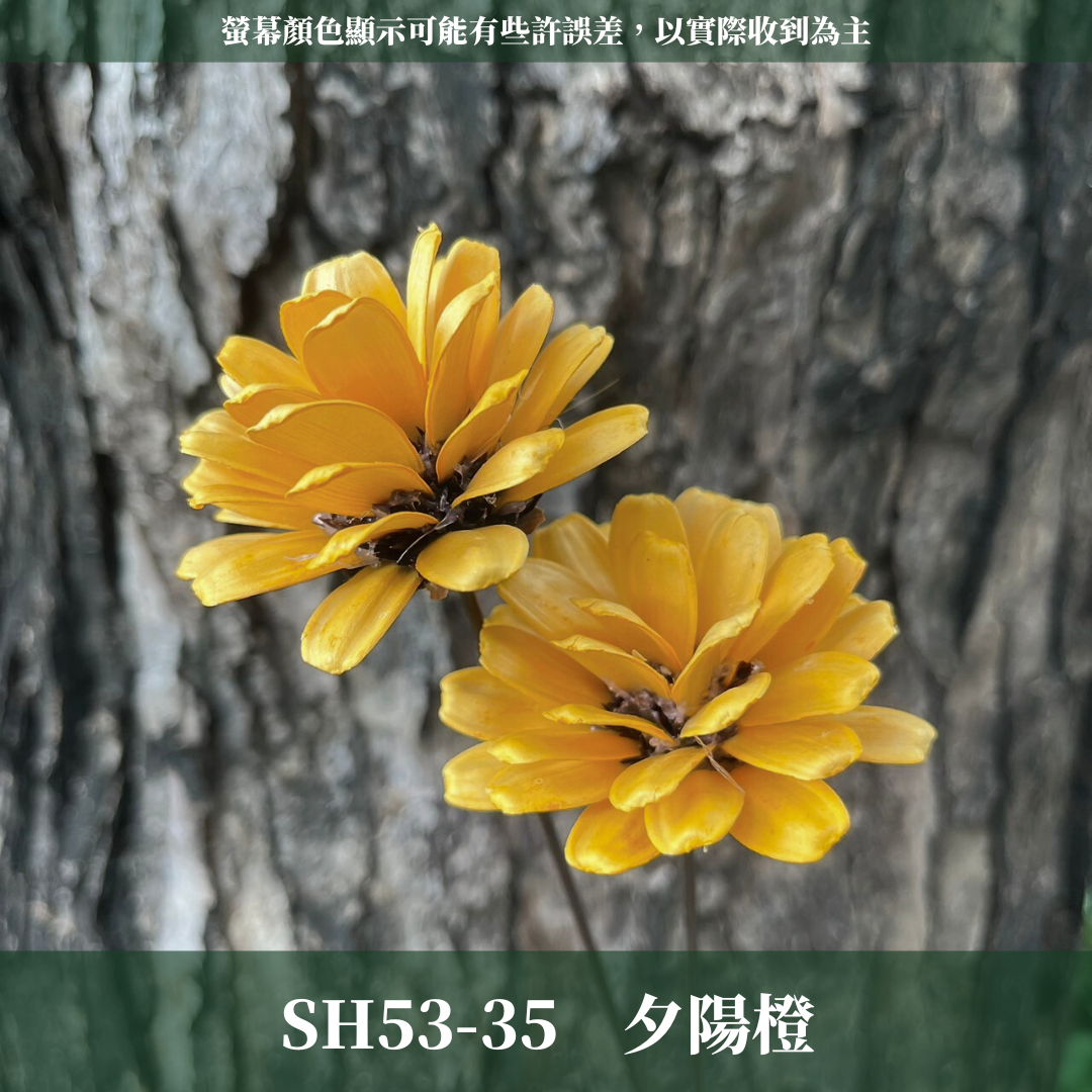 SH53 原裝瓜子球 （2支裝） 台灣現貨