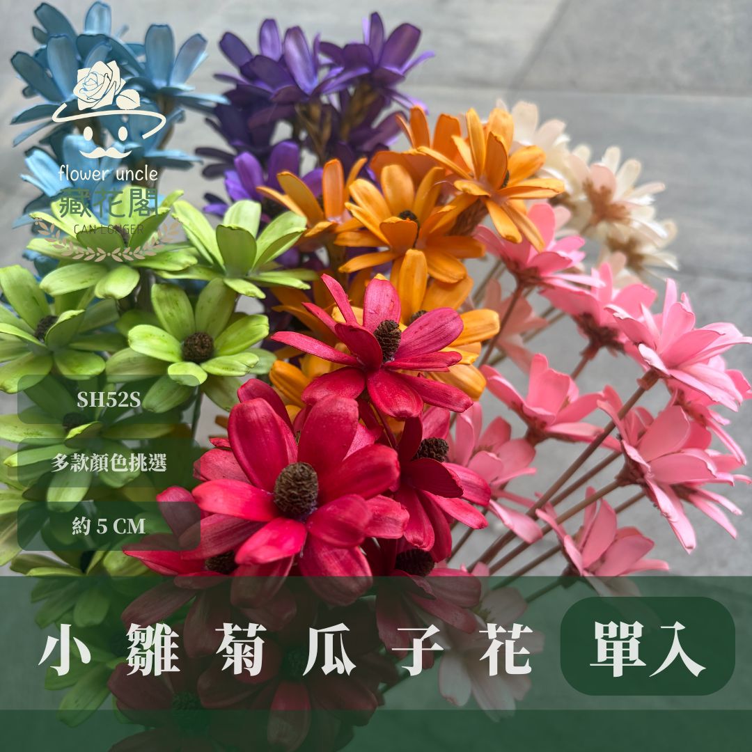 SH52S 小雛菊瓜子花單支｜5cm｜木片花 手工花 乾燥花 乾花新瓜子花 不凋花 永生花 花束花材 捧花材料 胸花手作