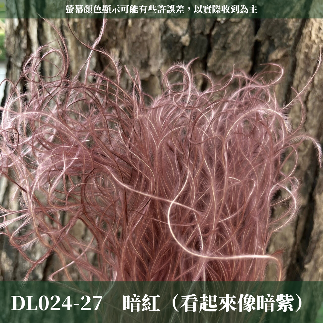 DL024 羽毛草 夢幻草 乾燥花 原裝 台灣現貨