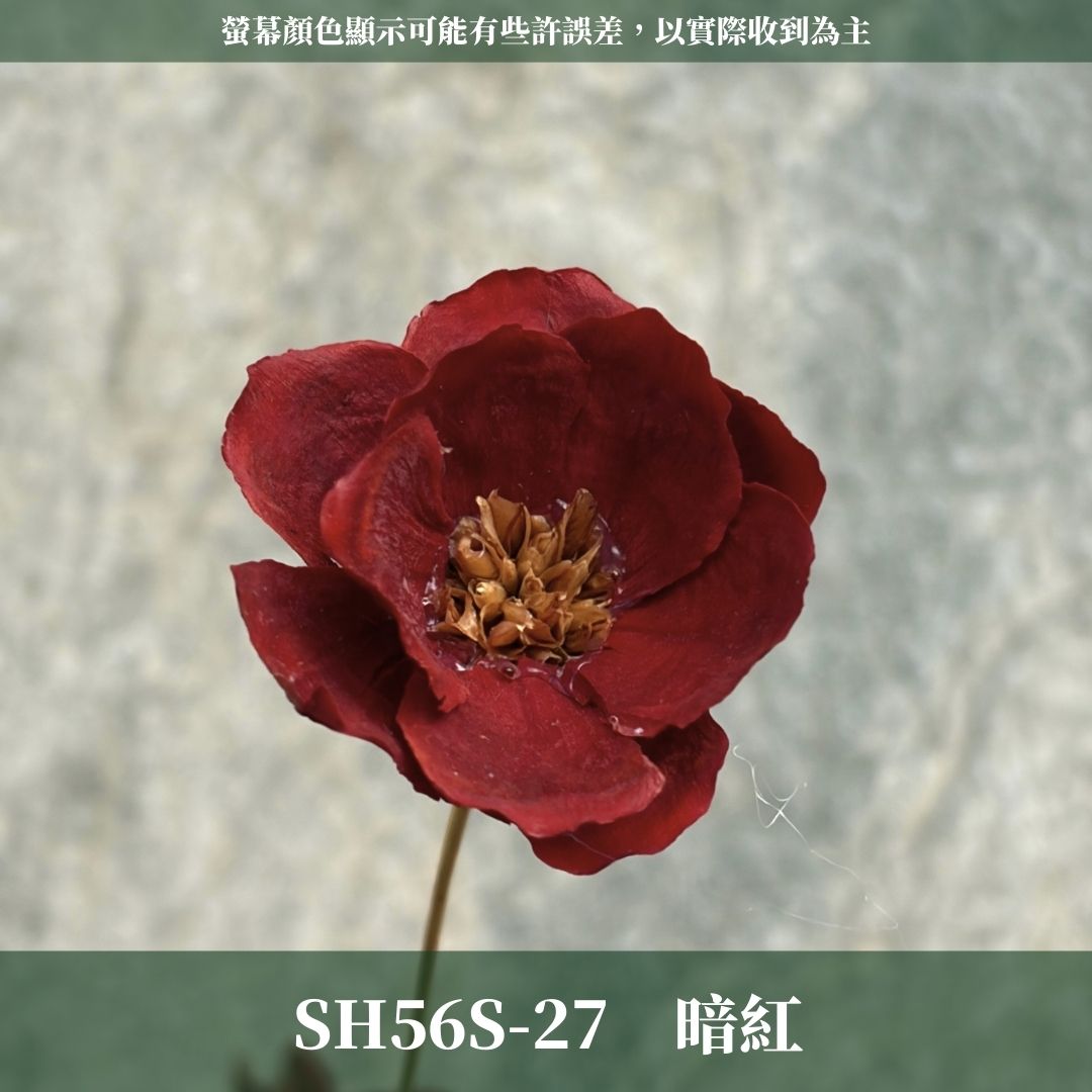 SH56S 手工銀連花 單支｜9種顏色！A級乾燥花材料包 手工花主花 永生花 不凋花瓜子花花材 花束花材 花藝師必買