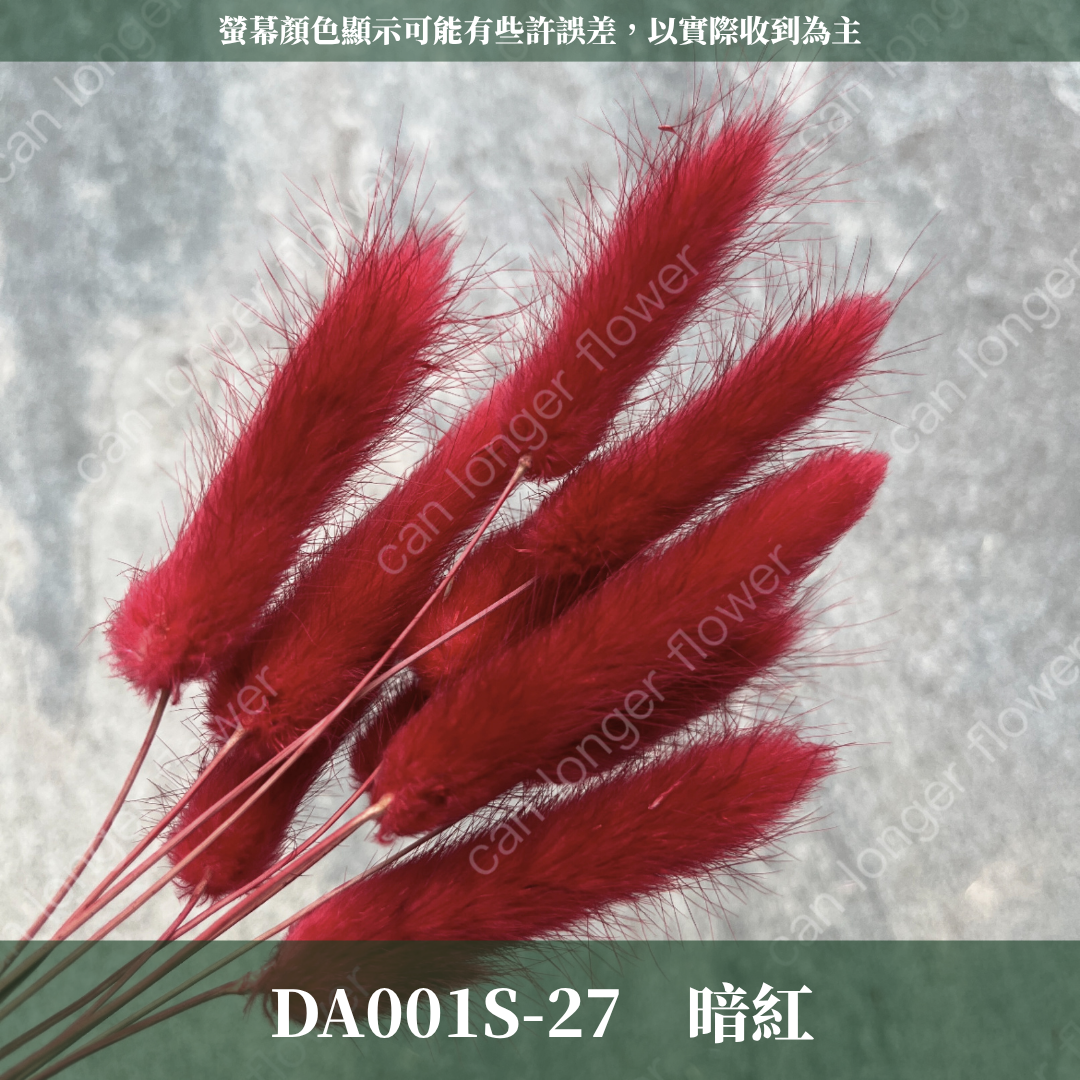 DA001S 兔尾草 10支 小份量 台灣現貨