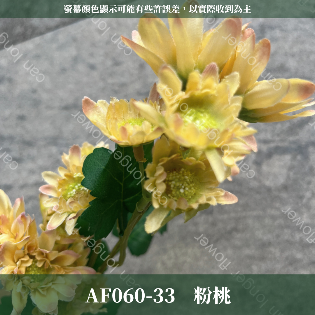 AF060 仿真多頭雛菊（約18頭）