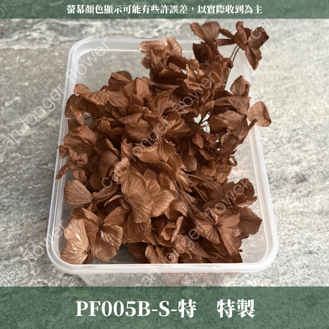 PF005B-S 大葉繡球(10克) 盒裝 紫陽花 夢幻漸變繡球 台灣現貨