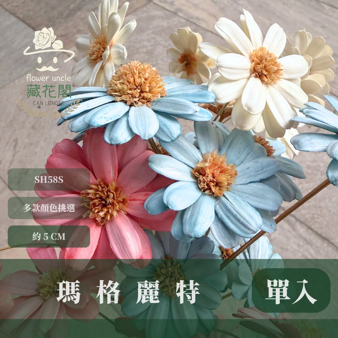 SH58S 瑪格麗特瓜子花｜花藝必買｜乾燥主花 蓬蒿菊 瑪格莉特 乾燥花材 乾燥花 小雛菊 手工花 不凋花 花束材料