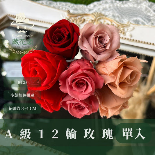 R12s A級十二輪玫瑰｜買12朵省120元｜約 3-4 cm｜花藝師必買 不凋大玫瑰花頭 永生玫瑰 花束材料 捧花材料