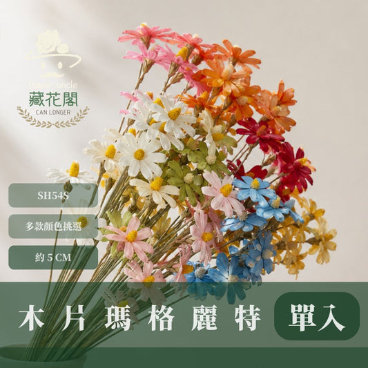 SH54S 木片瑪格麗特｜單支｜乾燥花批發 瓜子花 小雛菊 不凋花 木春菊 花藝設計 拍照道具 手工花 DIY 花藝插花