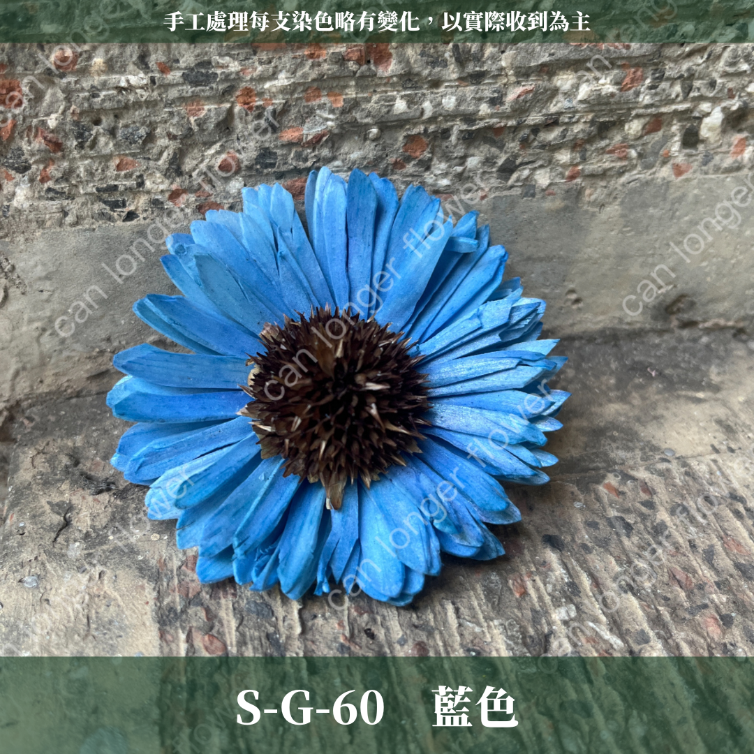 S-G 索拉花｜6CM 通草花 擴香花