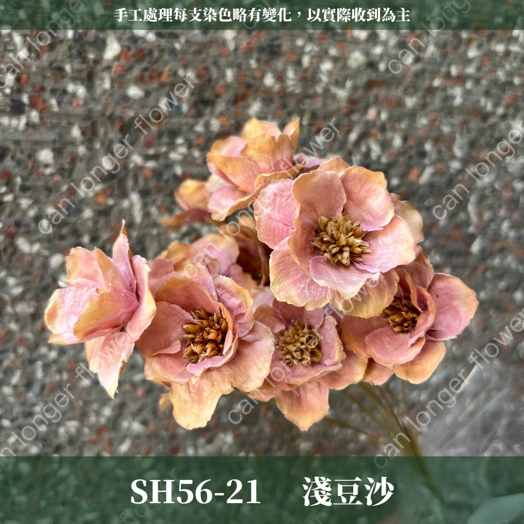 SH56 原裝手工銀連花｜9種顏色！A級乾燥花材料包 手工花主花 永生花 不凋花瓜子花花材 花束花材 花藝師必買