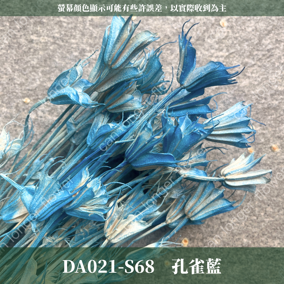 DA021 原裝木百合｜乾燥小百合 八角花 乾燥花材 花束 裝飾 DIY插花 浮游花 蠟燭材料 手作拍照道具 台灣現貨
