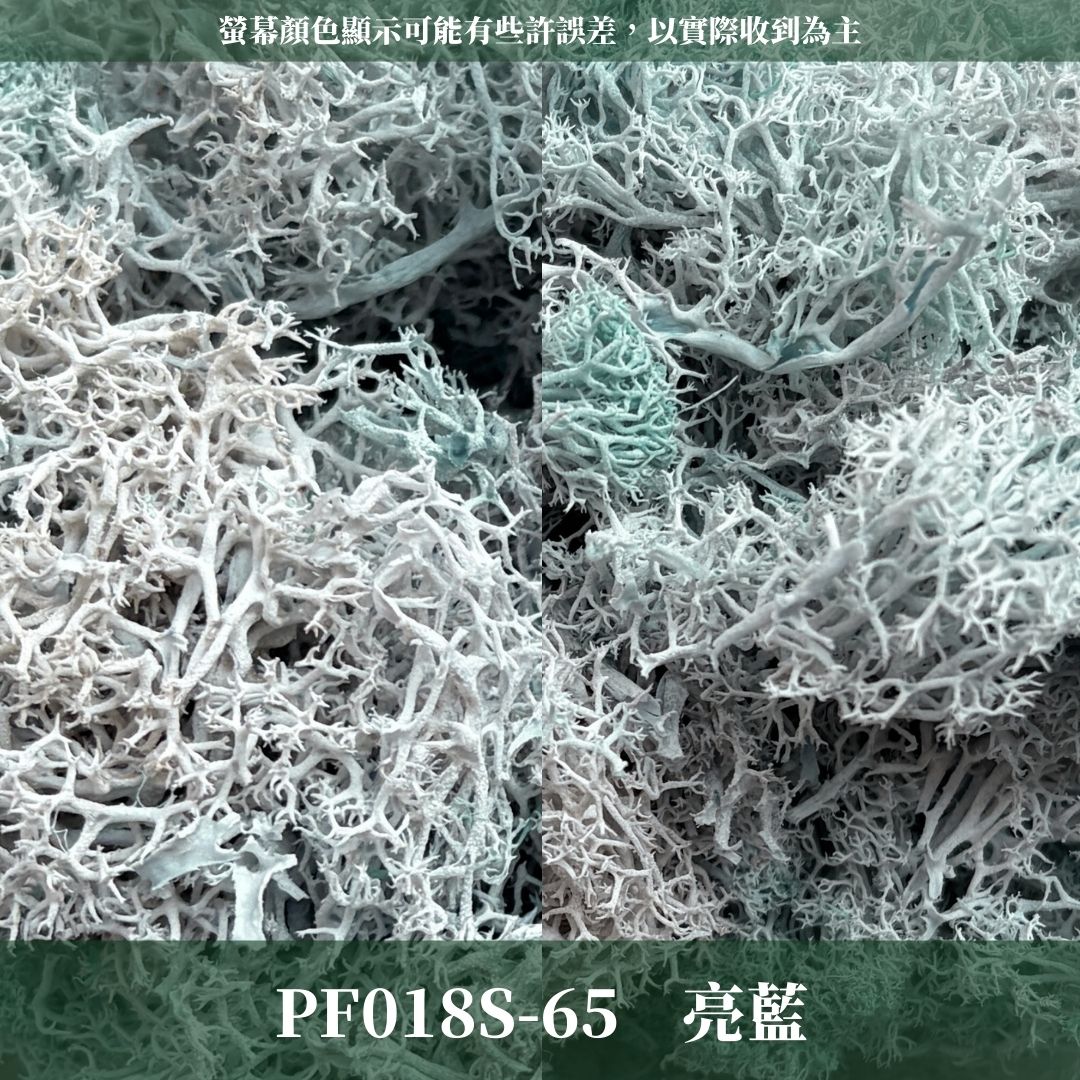 PF018S 永生馴鹿苔經濟包｜特級永生水草 微景觀水苔 苔蘚造景 乾燥花 不凋花 永生花藝材料 撲底用草 假草皮