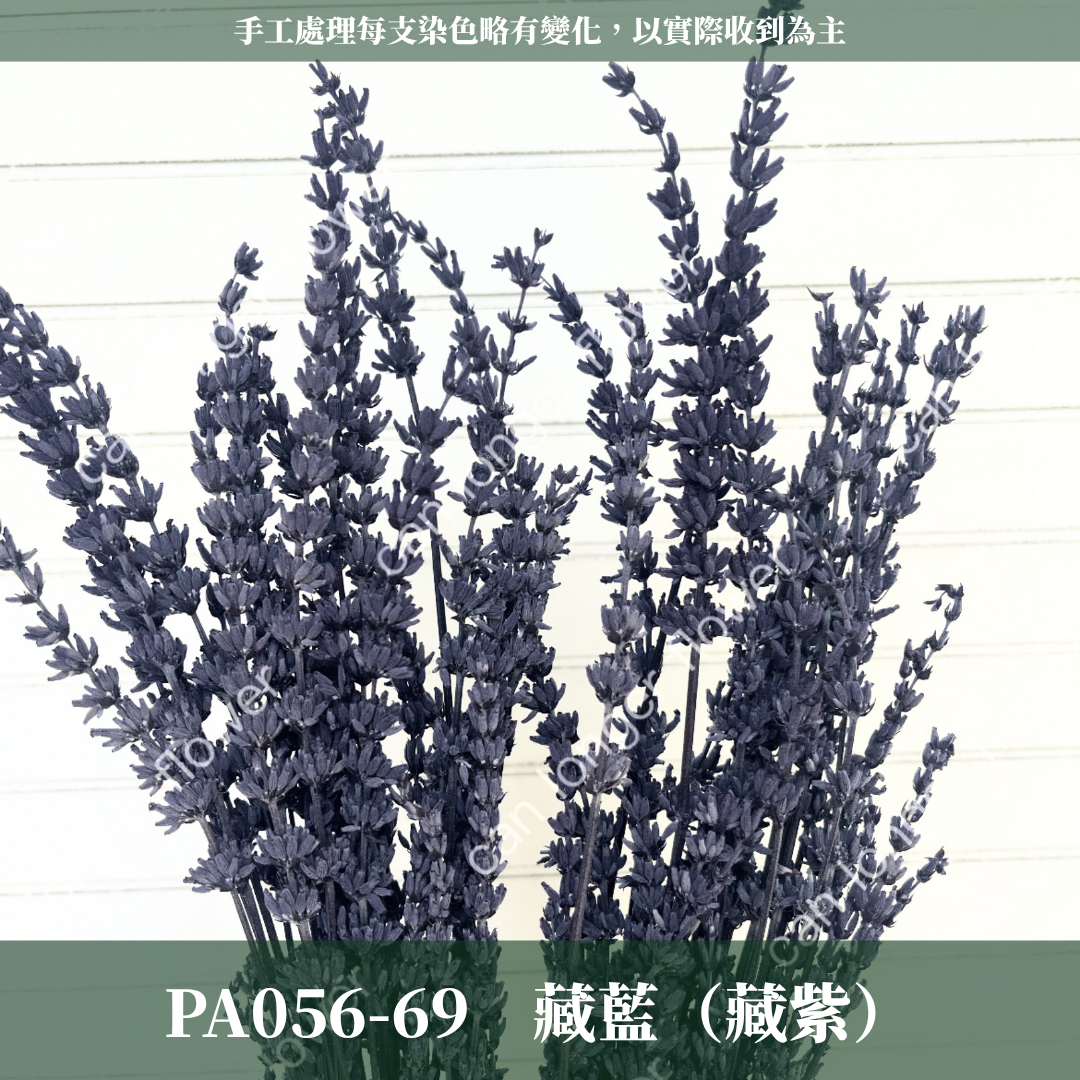 PA056 原裝薰衣草｜長梗永生薰衣草 染色薰衣草 有香味 香草植物 乾燥花 永生花 乾燥花花束 拍照道具背景 店內裝飾