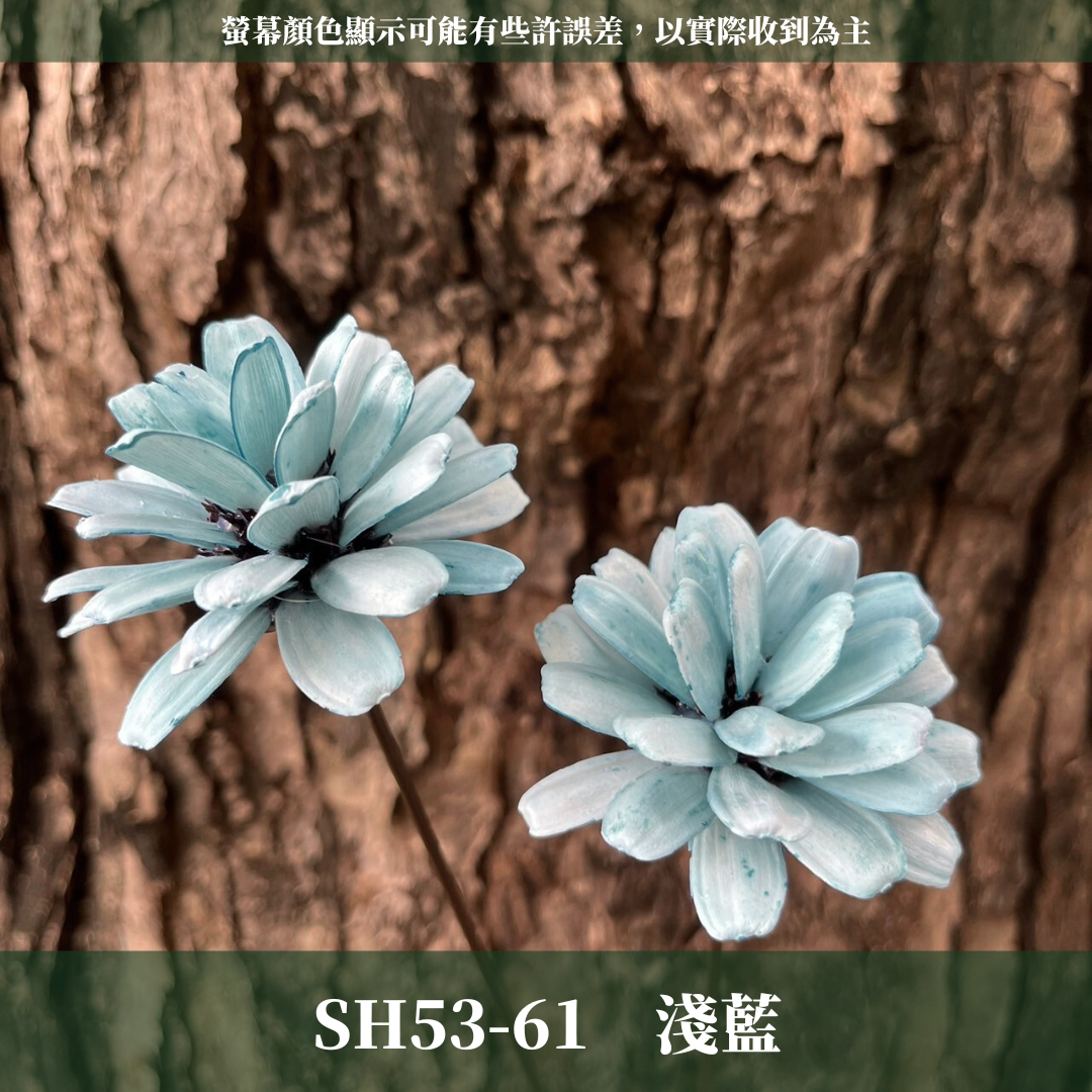 SH53 原裝瓜子球 （2支裝） 台灣現貨