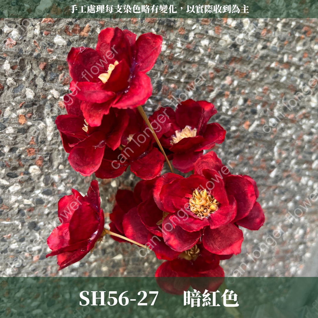SH56 原裝手工銀連花｜9種顏色！A級乾燥花材料包 手工花主花 永生花 不凋花瓜子花花材 花束花材 花藝師必買
