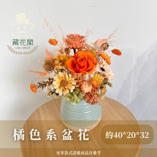 Gift-F066 橘色系永生盆花 橘色 橙色 盆花 開幕 送禮 慶賀