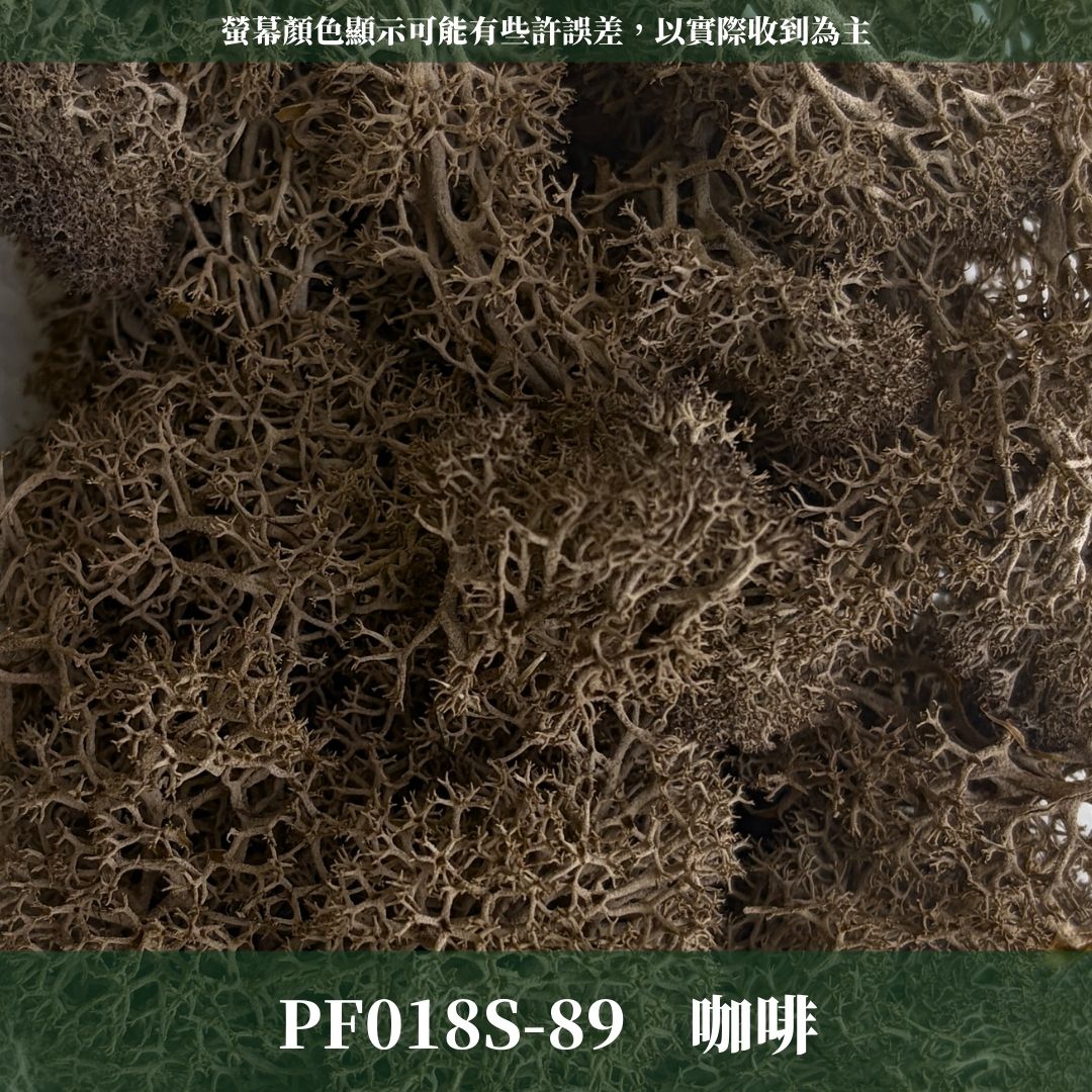 PF018S 永生馴鹿苔經濟包｜特級永生水草 微景觀水苔 苔蘚造景 乾燥花 不凋花 永生花藝材料 撲底用草 假草皮