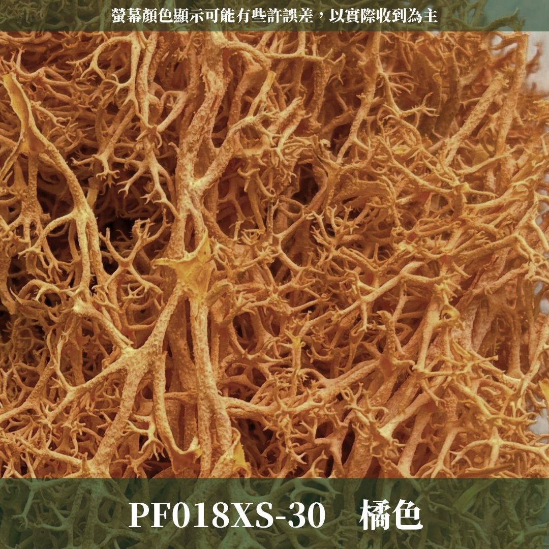 PF018-XS 永生馴鹿苔補充包｜特級永生水草 微景觀水苔 苔蘚造景 乾燥花 不凋花 永生花藝材料 撲底用草 假草皮