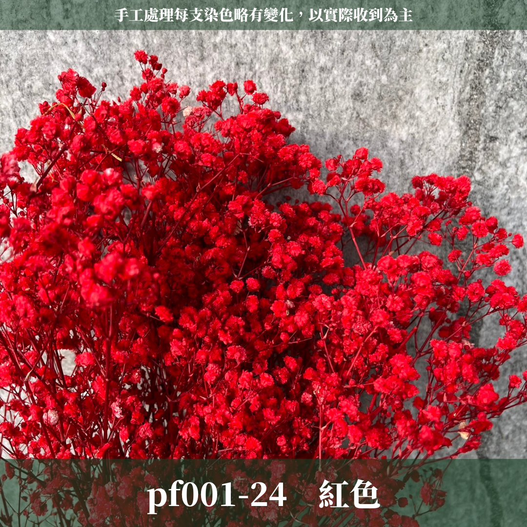 PF001 原裝滿天星｜A級永生滿天星工廠直供 拍攝婚禮佈置 韓式不凋滿天星 抖音款永生花 乾燥花 桌花花束 手作DIY